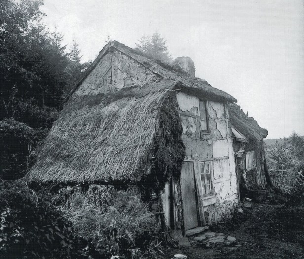 Fonds Bernard Jardon - Nisramont 1929 - Lavaux - Hives